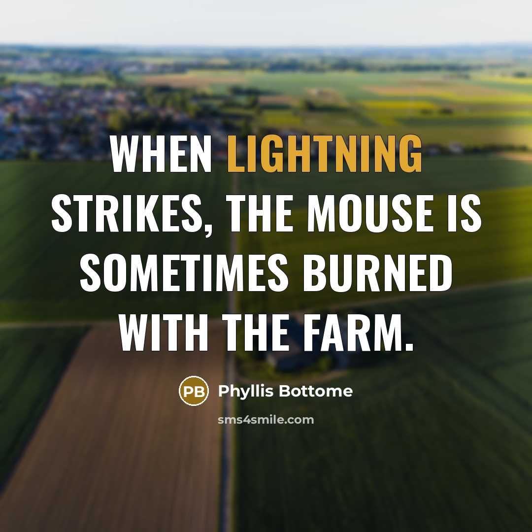 “When lightning strikes, the mouse is sometimes burned with the farm.” quote by Phyllis Bottome