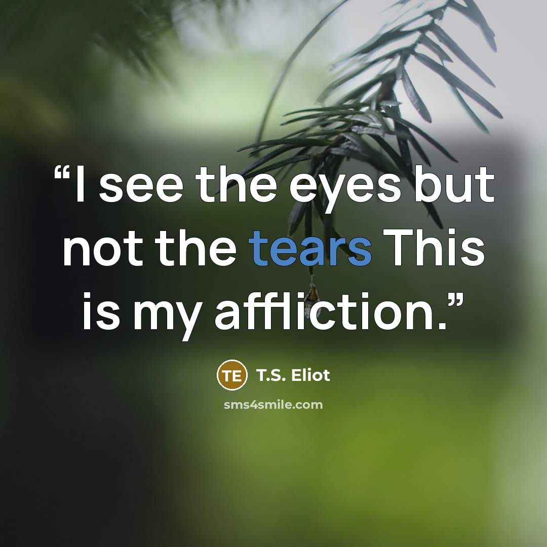 “I see the eyes but not the tears This is my affliction.” quote by T.S. Eliot