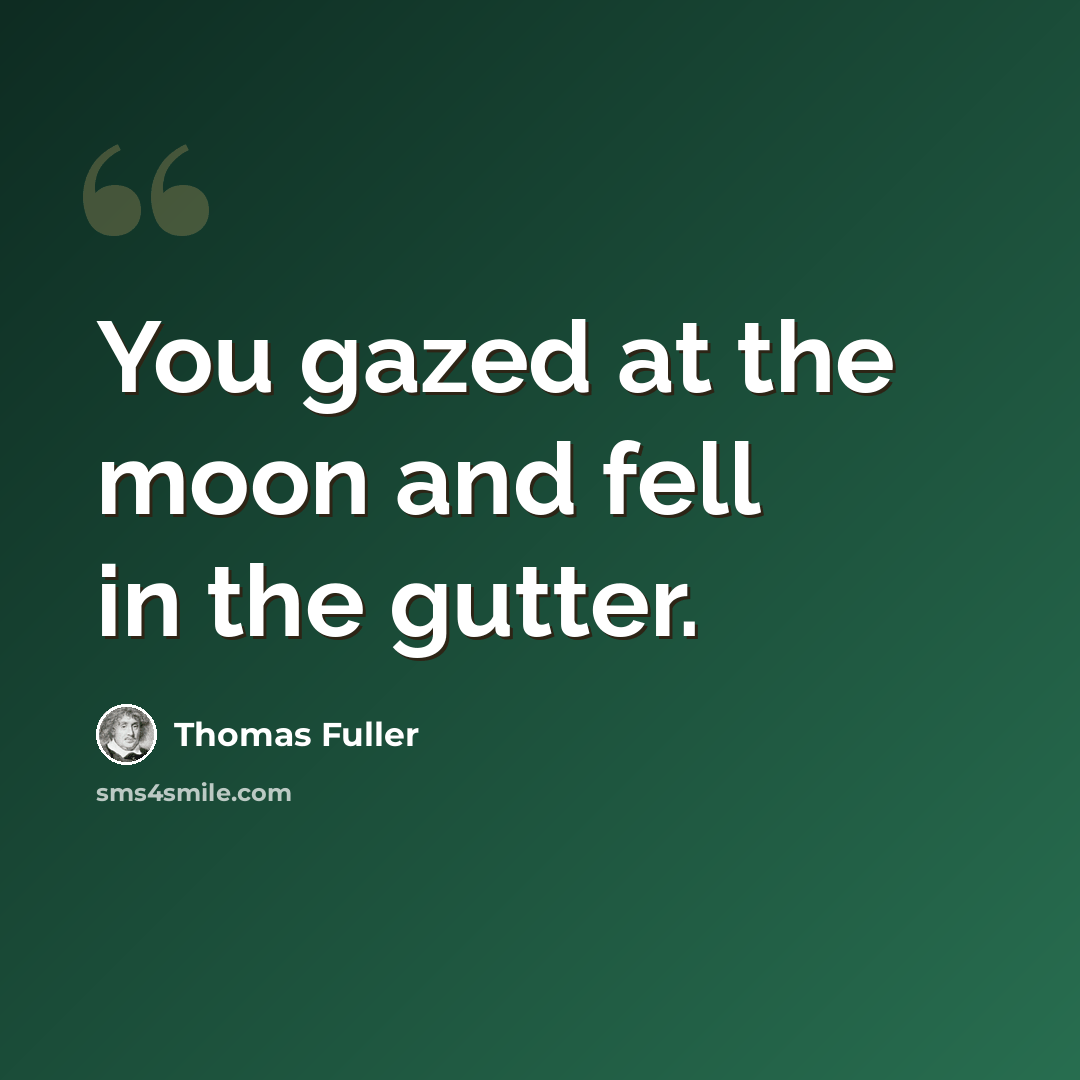 “You gazed at the moon and fell in the gutter.” quote by Thomas Fuller