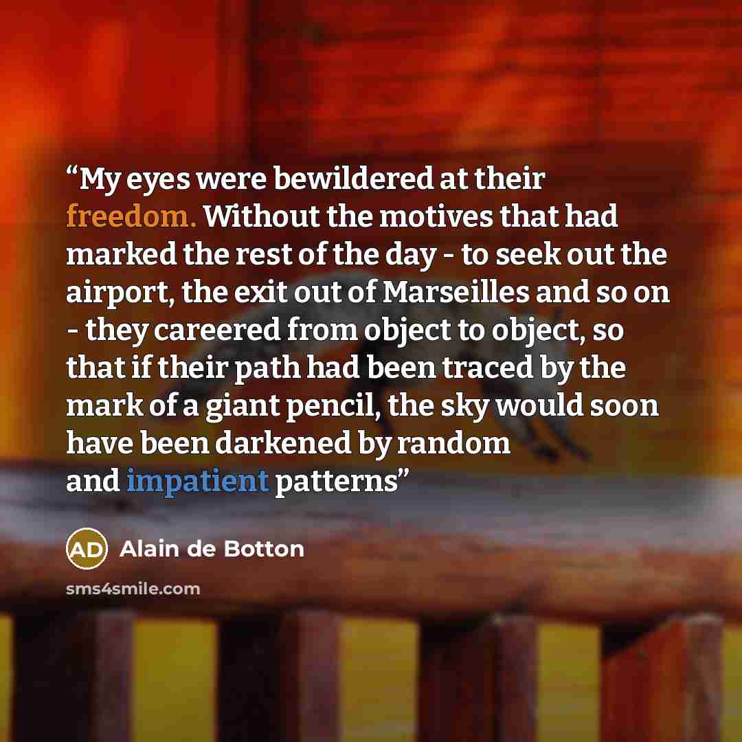 “My eyes were bewildered at their freedom. Without the motives that had marked the rest of the day - to seek out the airport, the exit out of Marseilles and so on - they careered from object to object, so that if their path had been traced by the mark of a giant pencil, the sky would soon have been…” quote by alain de botton
