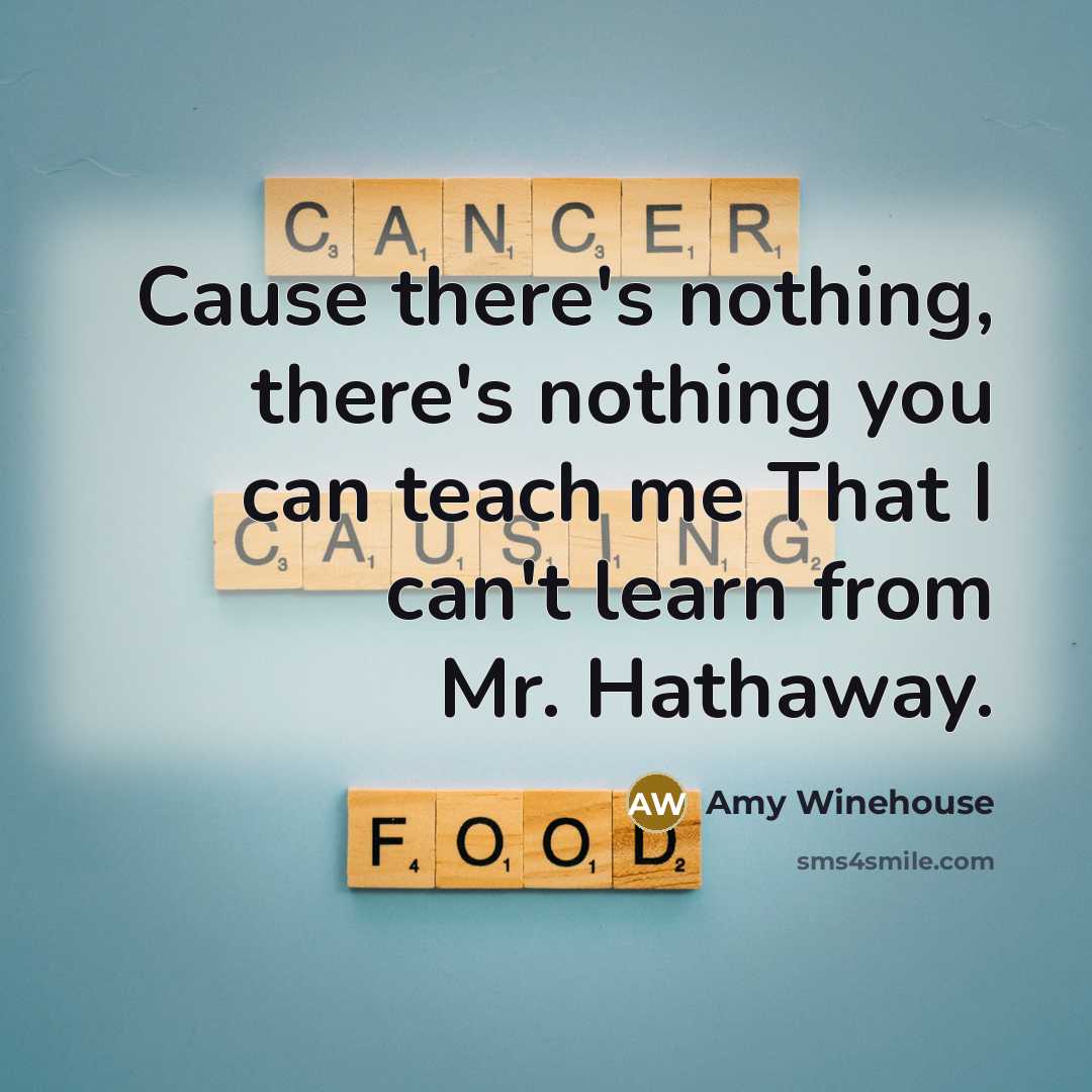 “Cause there's nothing, there's nothing you can teach me That I can't learn from Mr. Hathaway.” quote by Amy Winehouse