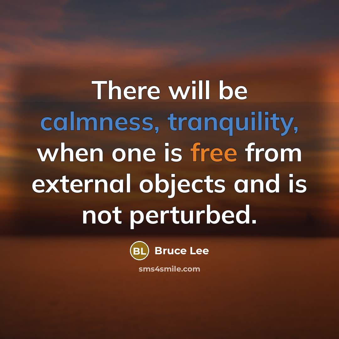 “There will be calmness, tranquility, when one is free from external objects and is not perturbed.” quote by Bruce Lee