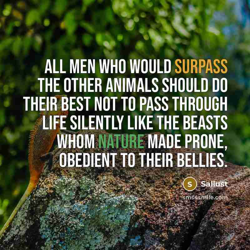 “All men who would surpass the other animals should do their best not to pass through life silently like the beasts whom nature made prone, obedient to their bellies.” quote by Sallust