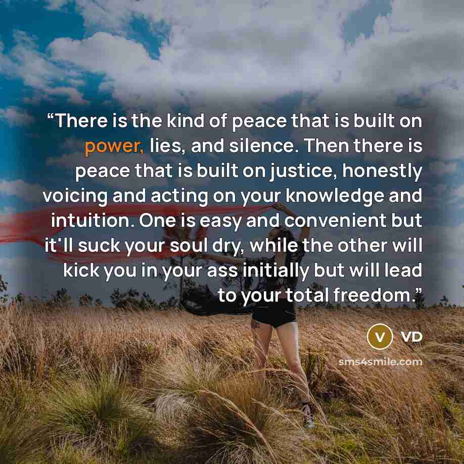 “There is the kind of peace that is built on power, lies, and silence. Then there is peace that is built on justice, honestly voicing and acting on your knowledge and intuition. One is easy and convenient but it'll suck your soul dry, while the other will kick you in your ass initially but will…” quote by VD