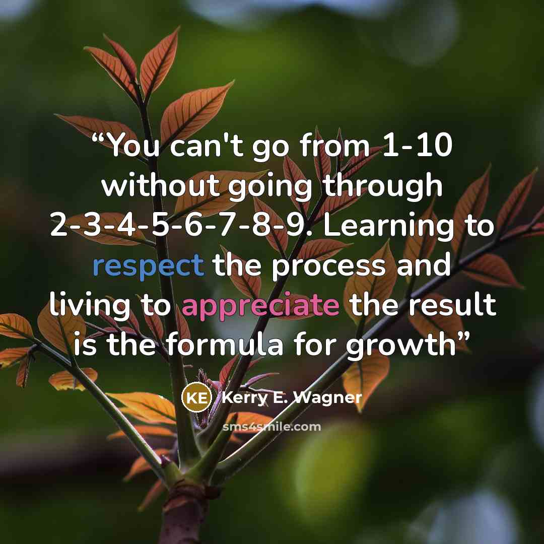“You can't go from 1-10 without going through 2-3-4-5-6-7-8-9. Learning to respect the process and living to appreciate the result is the formula for growth” quote by Kerry E. Wagner