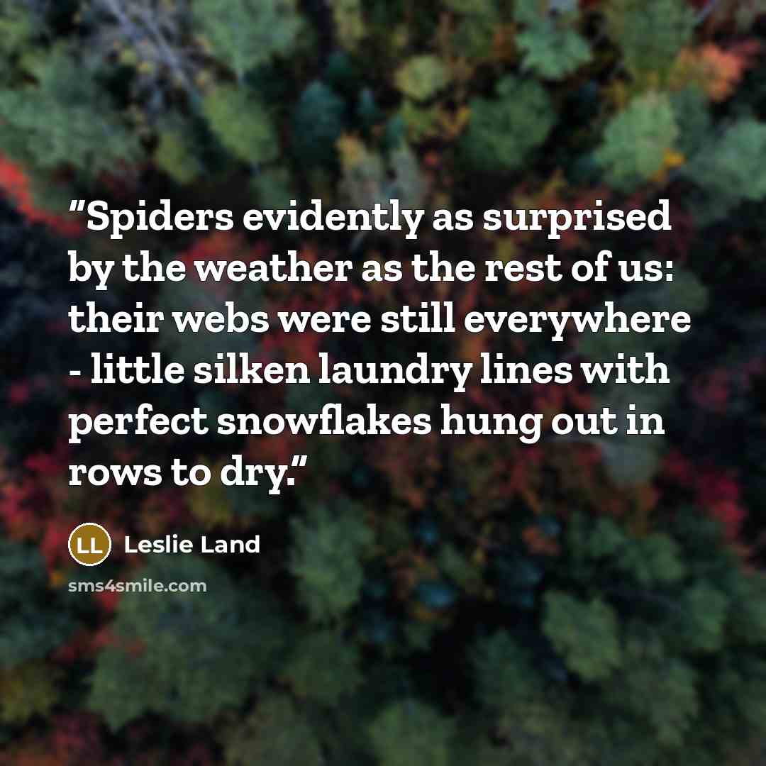 “Spiders evidently as surprised by the weather as the rest of us: their webs were still everywhere - little silken laundry lines with perfect snowflakes hung out in rows to dry.” quote by Leslie Land