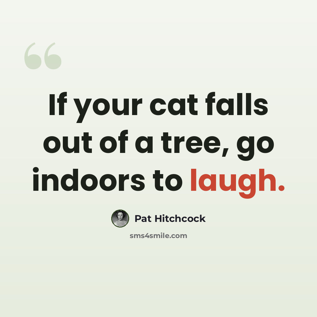 “If your cat falls out of a tree, go indoors to laugh.” quote by Pat Hitchcock