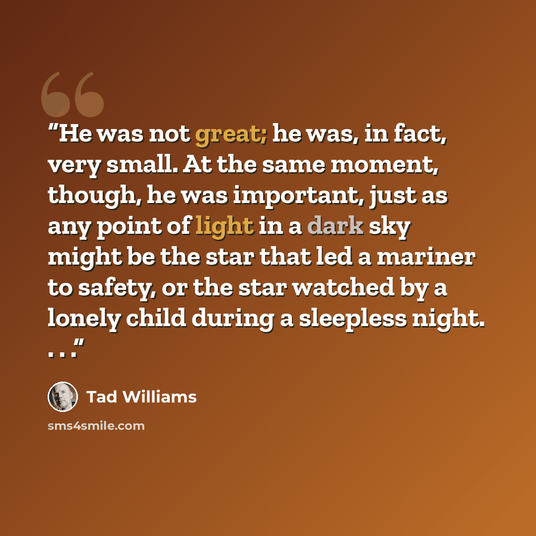 “He was not great; he was, in fact, very small. At the same moment, though, he was important, just as any point of light in a dark sky might be the star that led a mariner to safety, or the star watched by a lonely child during a sleepless night. . . .” quote by Tad Williams