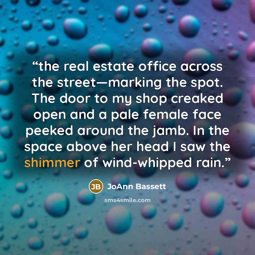 “the real estate office across the street—marking the spot. The door to my shop creaked open and a pale female face peeked around the jamb. In the space above her head I saw the shimmer of wind-whipped rain.” quote by JoAnn Bassett