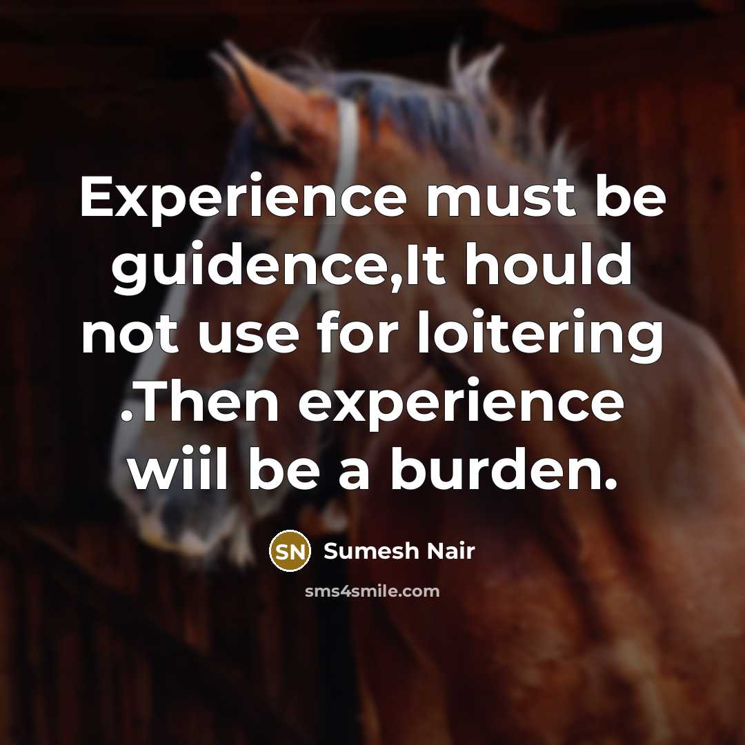 “Experience must be guidence,It hould not use for loitering .Then experience wiil be a burden.” quote by Sumesh Nair