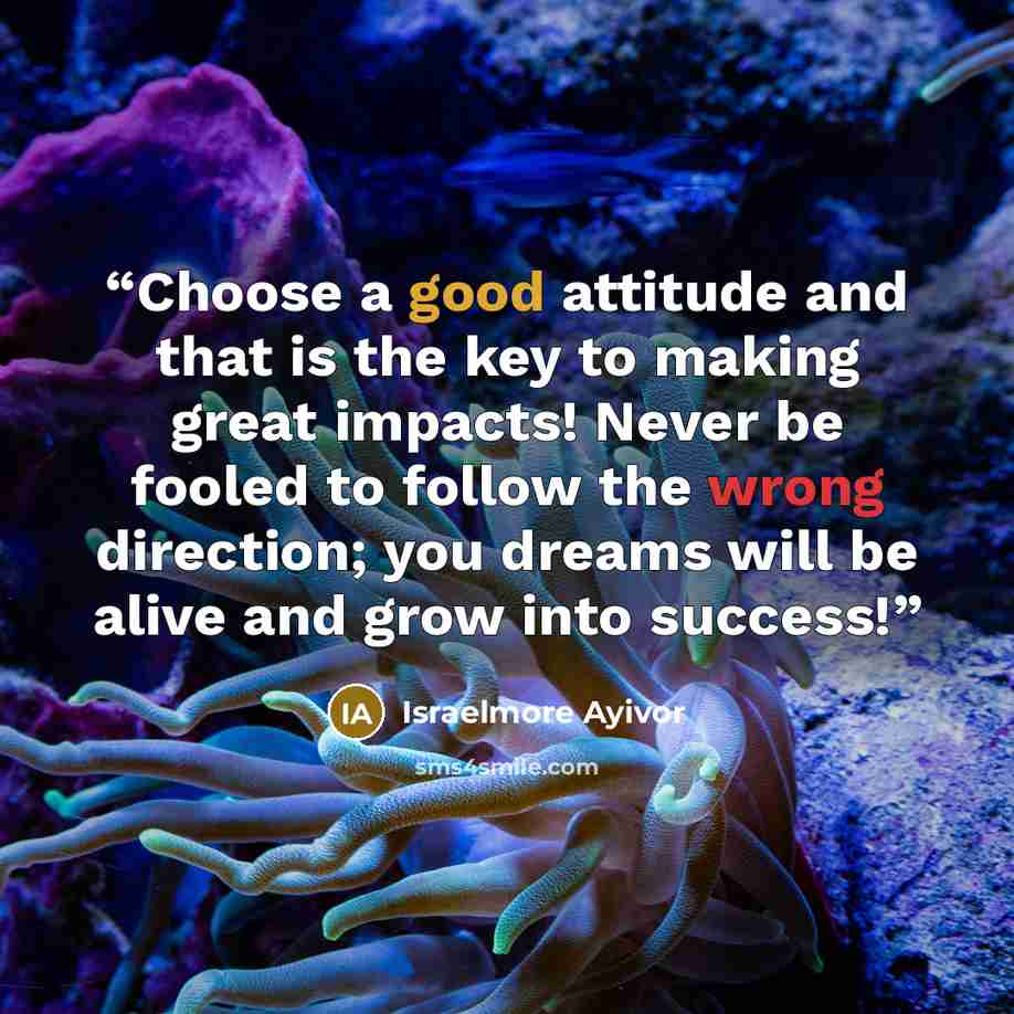 “Choose a good attitude and that is the key to making great impacts! Never be fooled to follow the wrong direction; you dreams will be alive and grow into success!” quote by Israelmore Ayivor