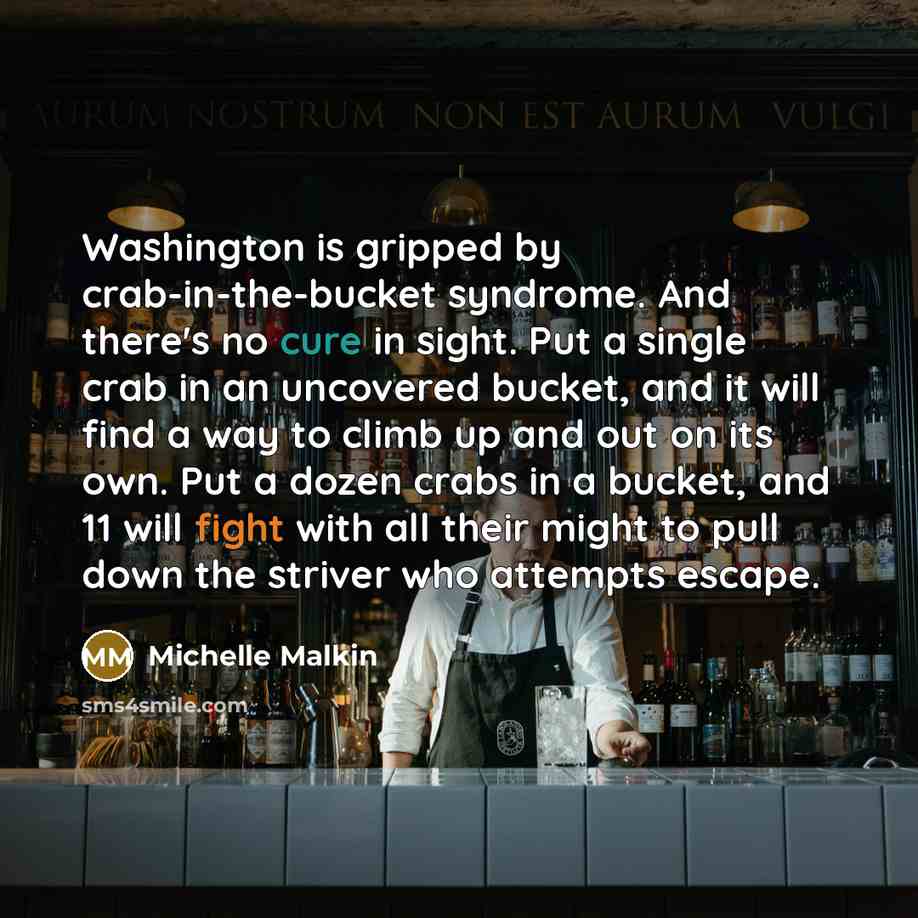 “Washington is gripped by crab-in-the-bucket syndrome. And there's no cure in sight. Put a single crab in an uncovered bucket, and it will find a way to climb up and out on its own. Put a dozen crabs in a bucket, and 11 will fight with all their might to pull down the striver who attempts escape.” quote by Michelle Malkin