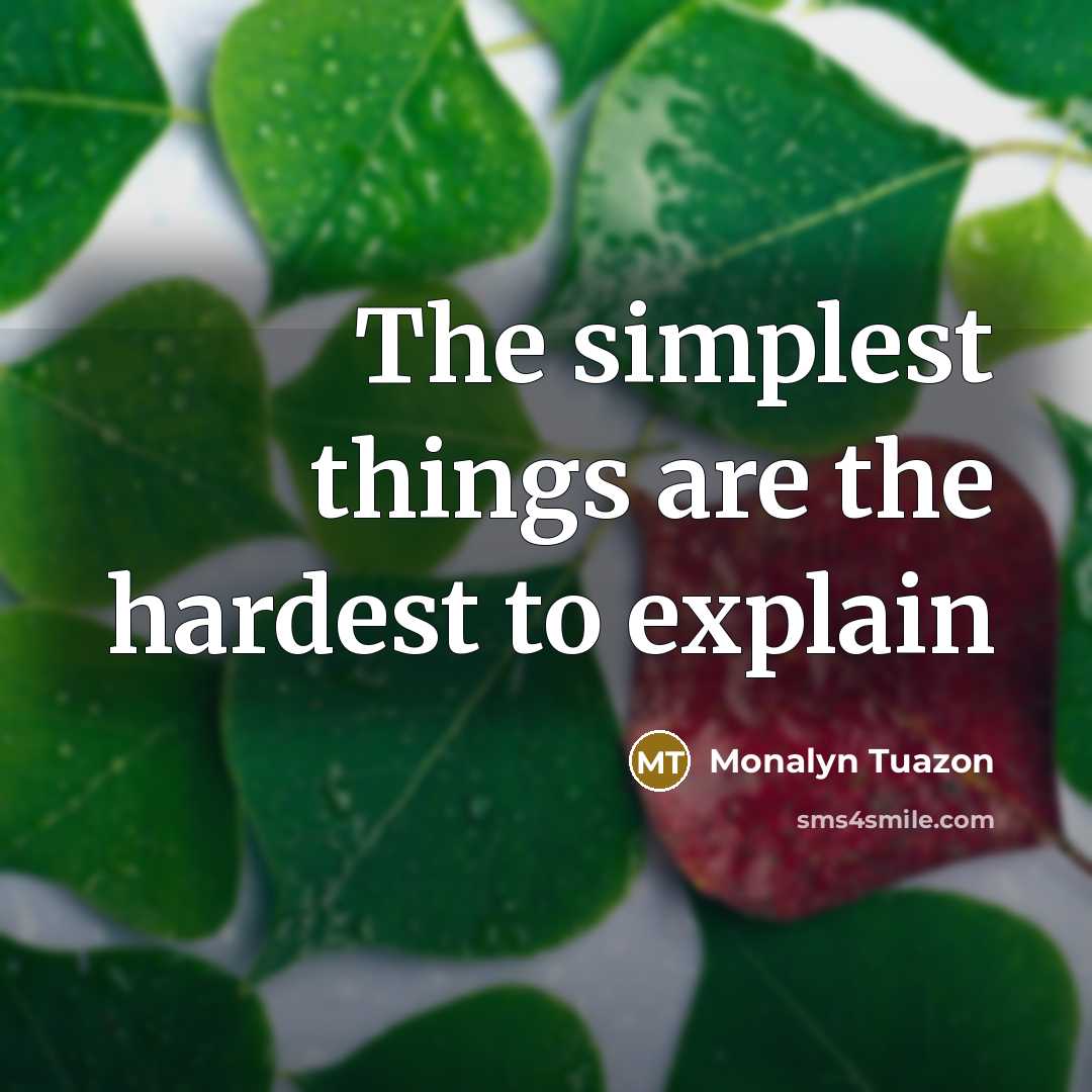 “The simplest things are the hardest to explain” quote by Monalyn Tuazon