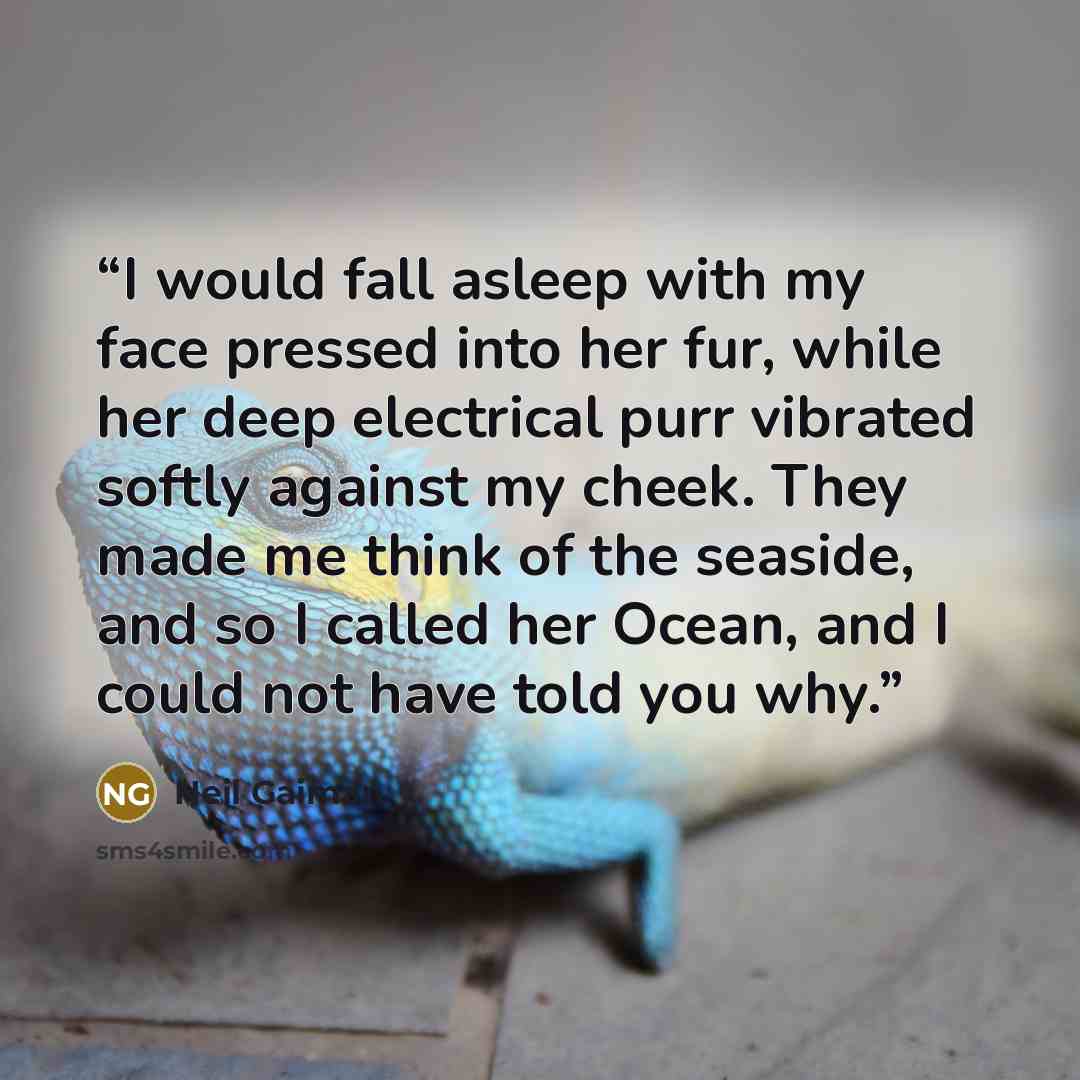 “I would fall asleep with my face pressed into her fur, while her deep electrical purr vibrated softly against my cheek. They made me think of the seaside, and so I called her Ocean, and I could not have told you why.” quote by Neil Gaiman