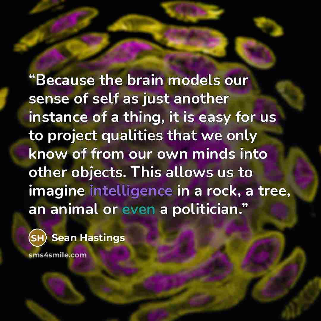 “Because the brain models our sense of self as just another instance of a thing, it is easy for us to project qualities that we only know of from our own minds into other objects. This allows us to imagine intelligence in a rock, a tree, an animal or even a politician.” quote by Sean Hastings