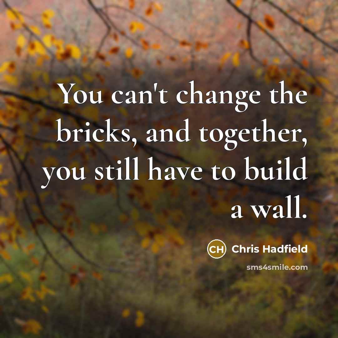 “You can't change the bricks, and together, you still have to build a wall.” quote by Chris Hadfield