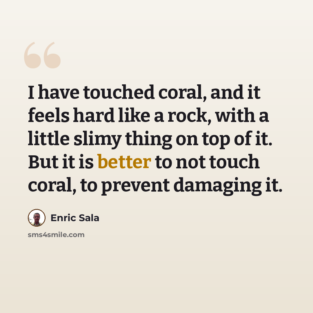 “I have touched coral, and it feels hard like a rock, with a little slimy thing on top of it. But it is better to not touch coral, to prevent damaging it.” quote by Enric Sala
