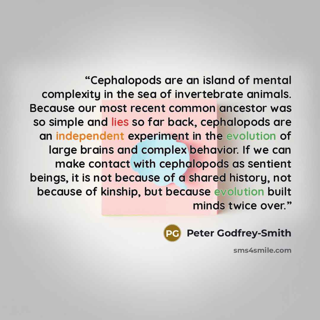 “Cephalopods are an island of mental complexity in the sea of invertebrate animals. Because our most recent common ancestor was so simple and lies so far back, cephalopods are an independent experiment in the evolution of large brains and complex behavior. If we can make contact with cephalopods as…” quote by Peter Godfrey-Smith