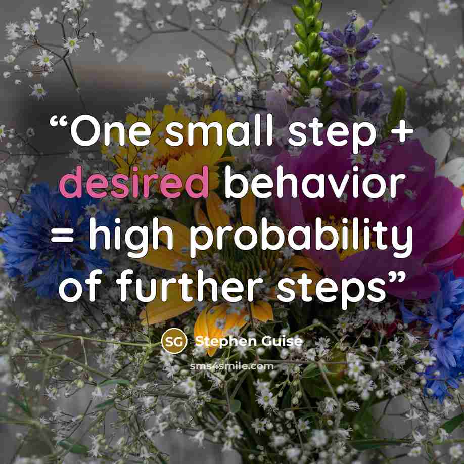 “One small step + desired behavior = high probability of further steps” quote by Stephen Guise