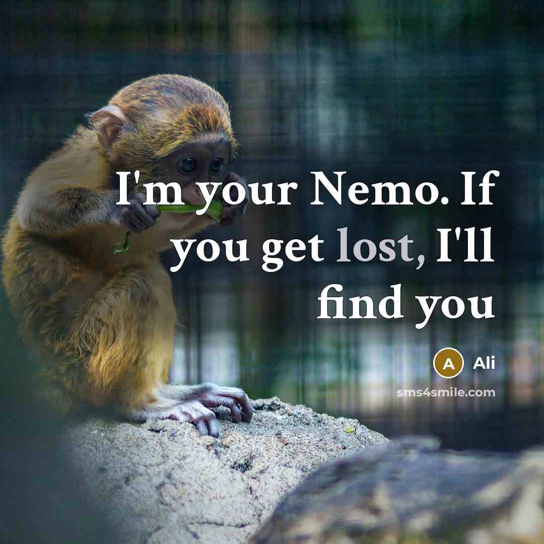 “I'm your Nemo. If you get lost, I'll find you” quote by Ali