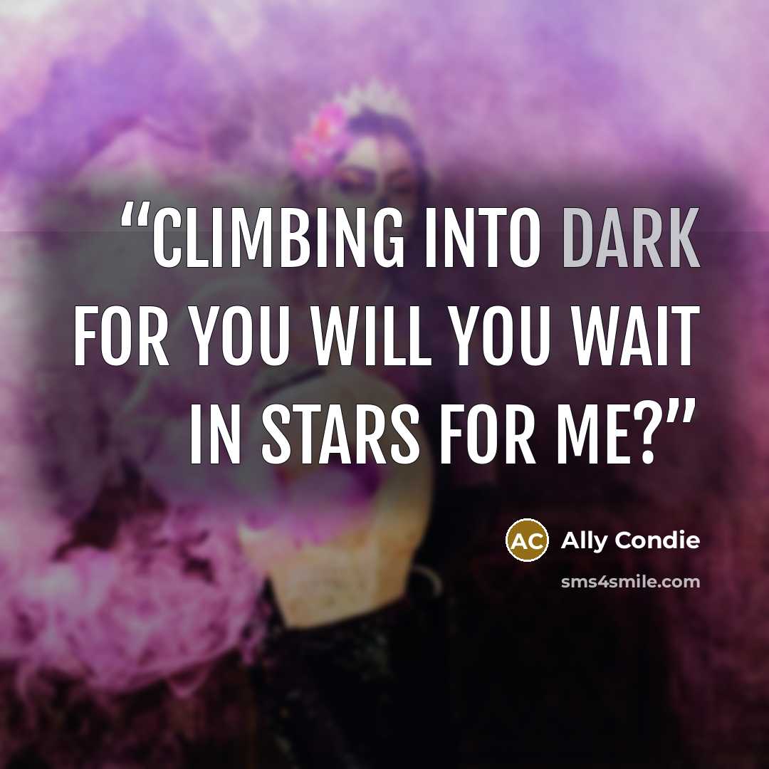“Climbing into dark for you Will you wait in stars for me?” quote by Ally Condie
