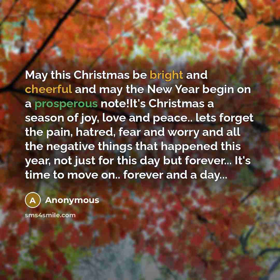 “May this Christmas be bright and cheerful and may the New Year begin on a prosperous note!It's Christmas a season of joy, love and peace.. lets forget the pain, hatred, fear and worry and all the negative things that happened this year, not just for this day but forever... It's time to move on…” quote by Anonymous