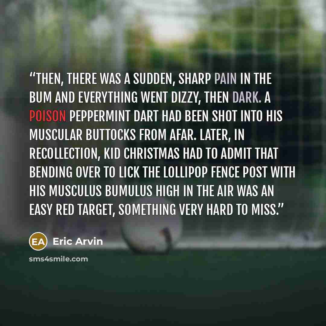 “Then, there was a sudden, sharp pain in the bum and everything went dizzy, then dark. A poison peppermint dart had been shot into his muscular buttocks from afar. Later, in recollection, Kid Christmas had to admit that bending over to lick the lollipop fence post with his musculus bumulus high in…” quote by Eric Arvin