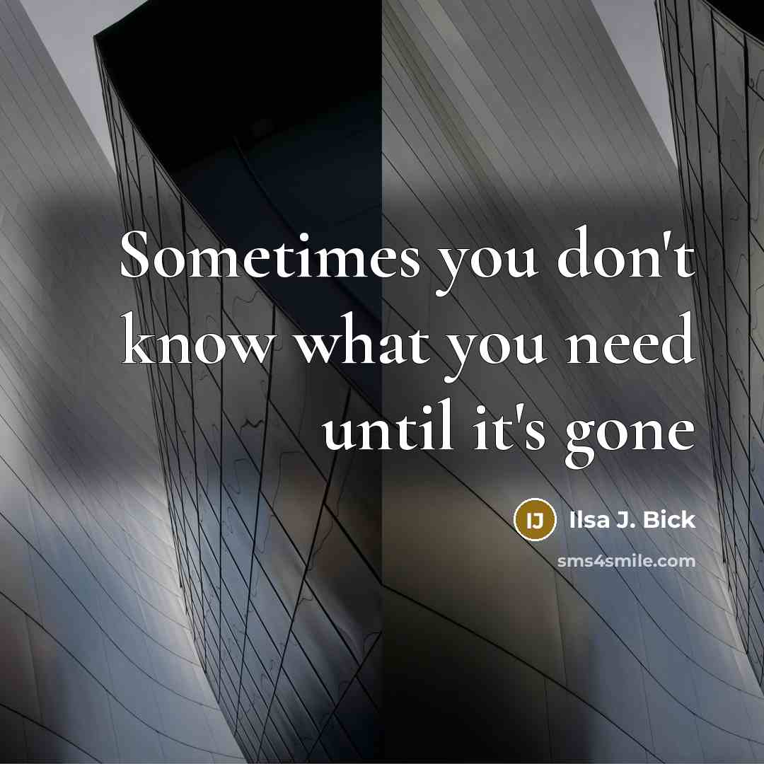 “Sometimes you don't know what you need until it's gone” quote by Ilsa J. Bick