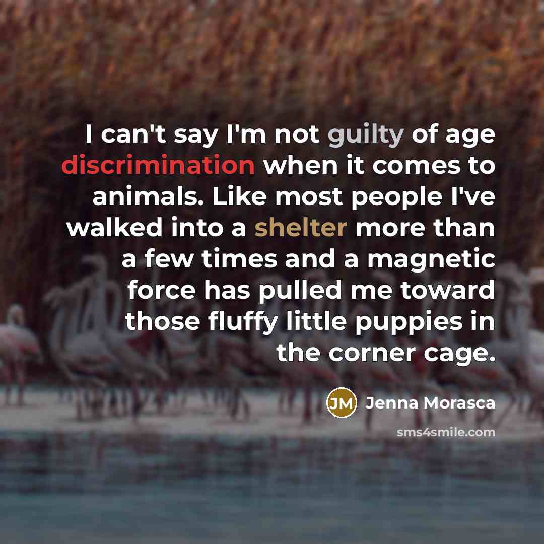 “I can't say I'm not guilty of age discrimination when it comes to animals. Like most people I've walked into a shelter more than a few times and a magnetic force has pulled me toward those fluffy little puppies in the corner cage.” quote by Jenna Morasca