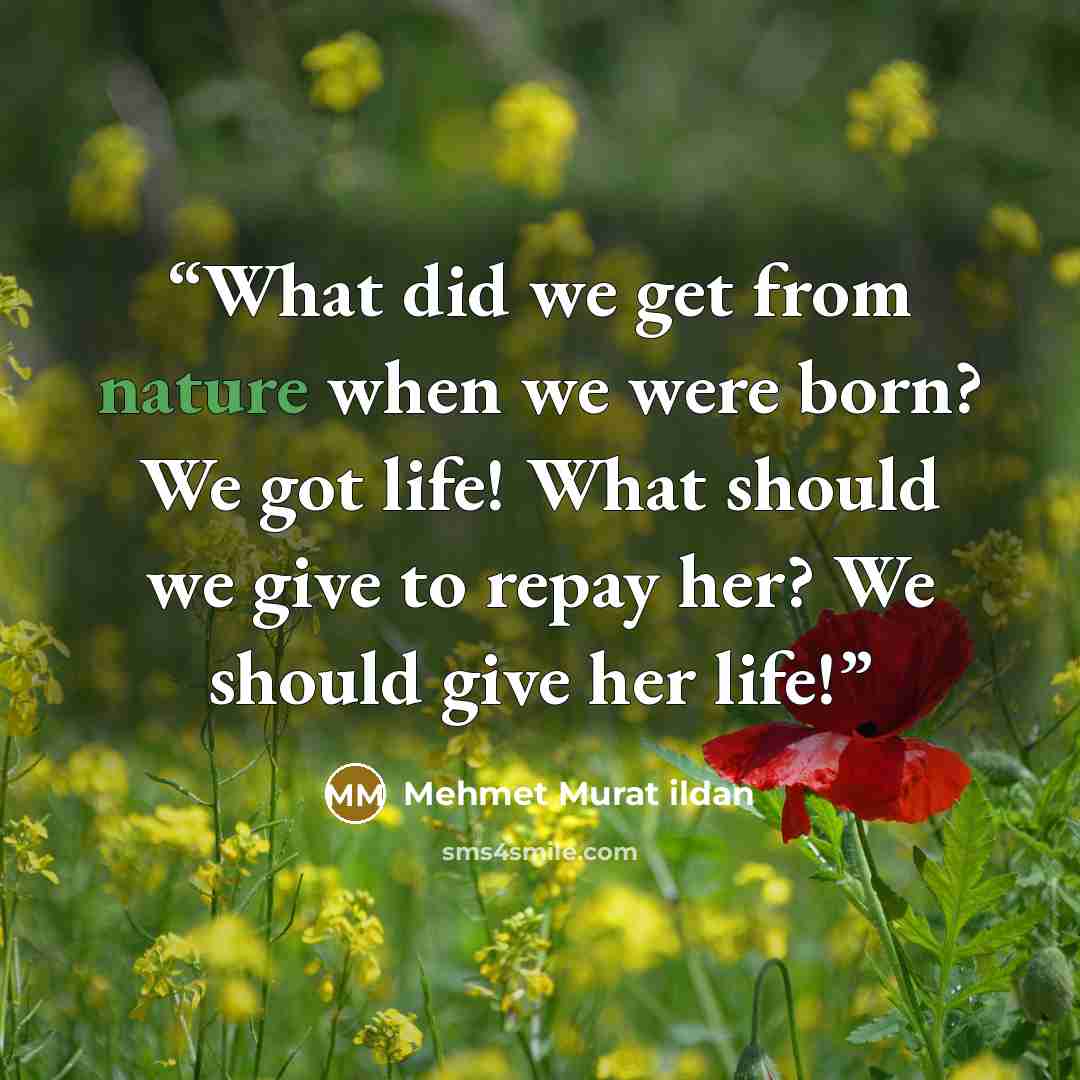 “What did we get from nature when we were born? We got life! What should we give to repay her? We should give her life!” quote by Mehmet Murat ildan
