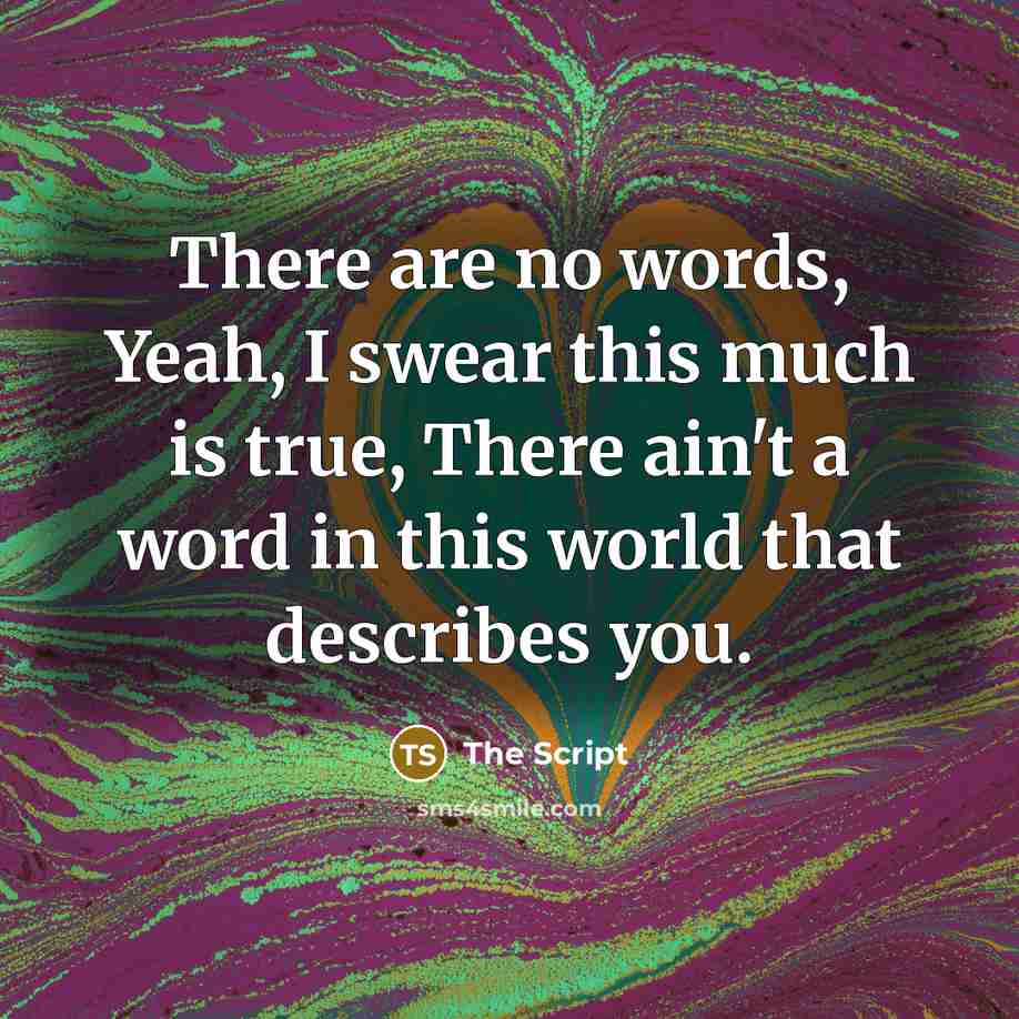 “There are no words, Yeah, I swear this much is true, There ain't a word in this world that describes you.” quote by The Script