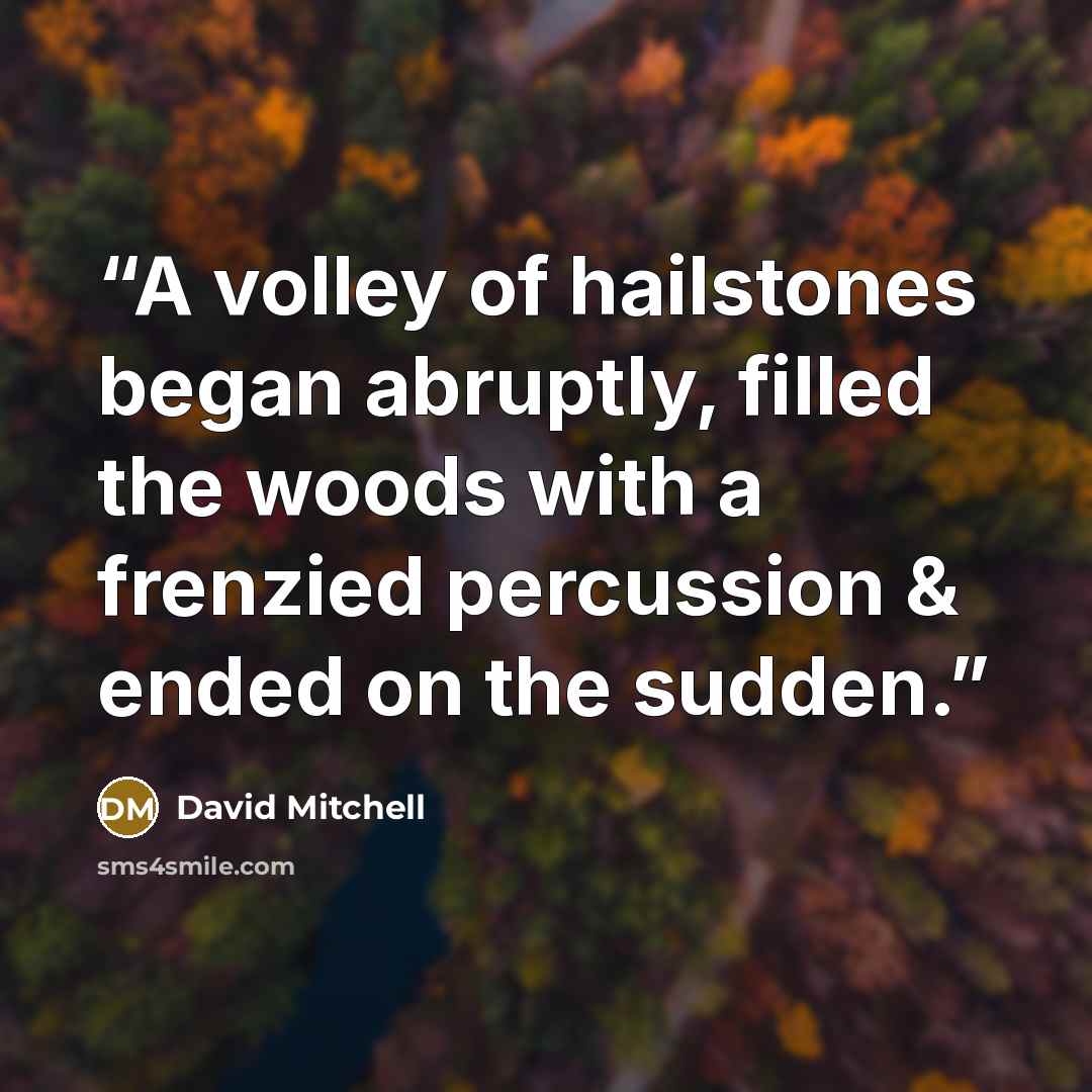 “A volley of hailstones began abruptly, filled the woods with a frenzied percussion & ended on the sudden.” quote by David Mitchell