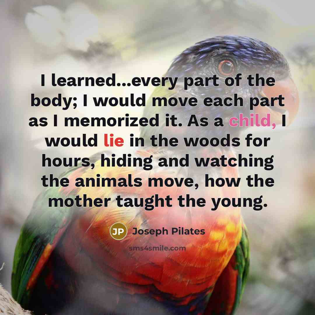 “I learned...every part of the body; I would move each part as I memorized it. As a child, I would lie in the woods for hours, hiding and watching the animals move, how the mother taught the young.” quote by Joseph Pilates