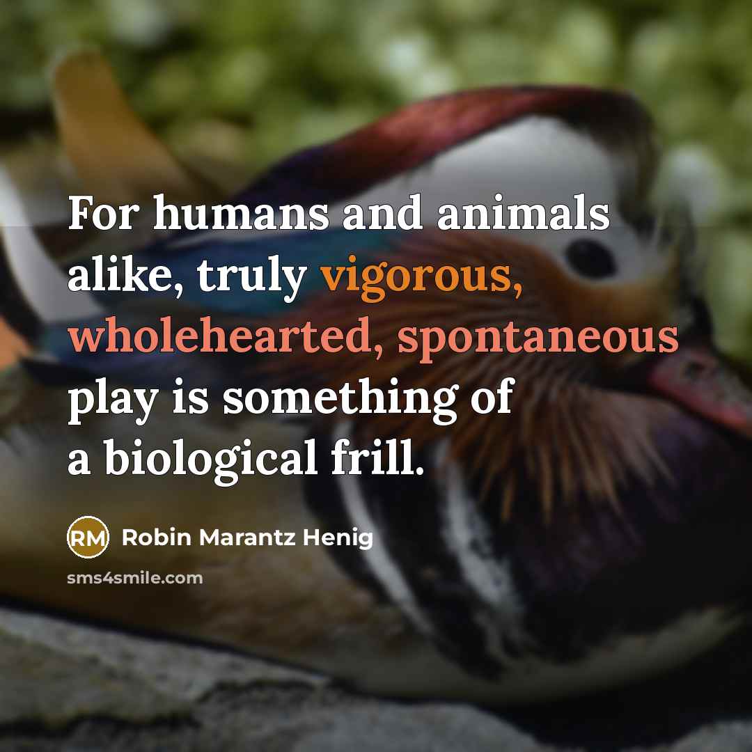 “For humans and animals alike, truly vigorous, wholehearted, spontaneous play is something of a biological frill.” quote by Robin Marantz Henig