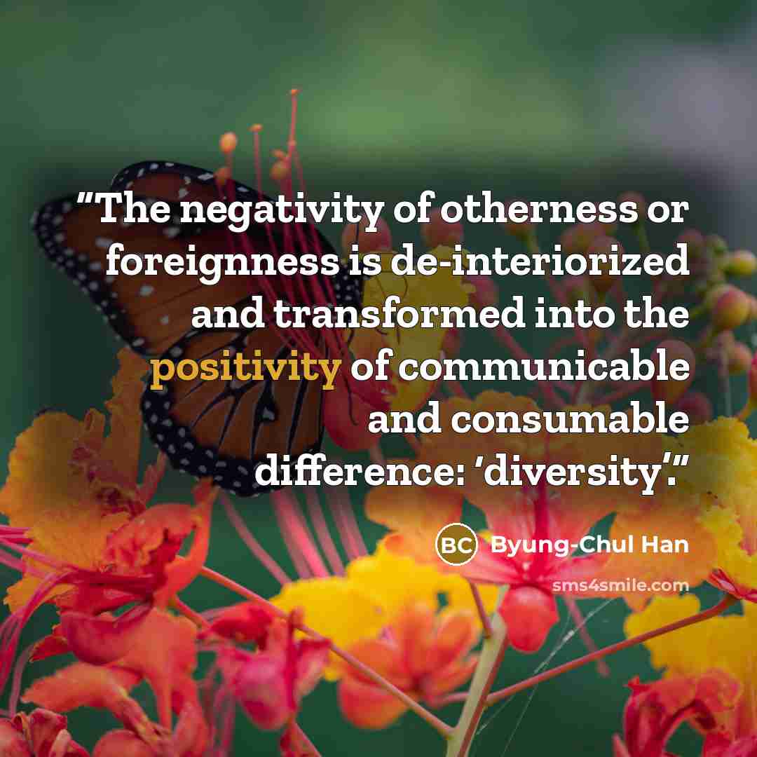 “The negativity of otherness or foreignness is de-interiorized and transformed into the positivity of communicable and consumable difference: ‘diversity’.” quote by Byung-Chul Han