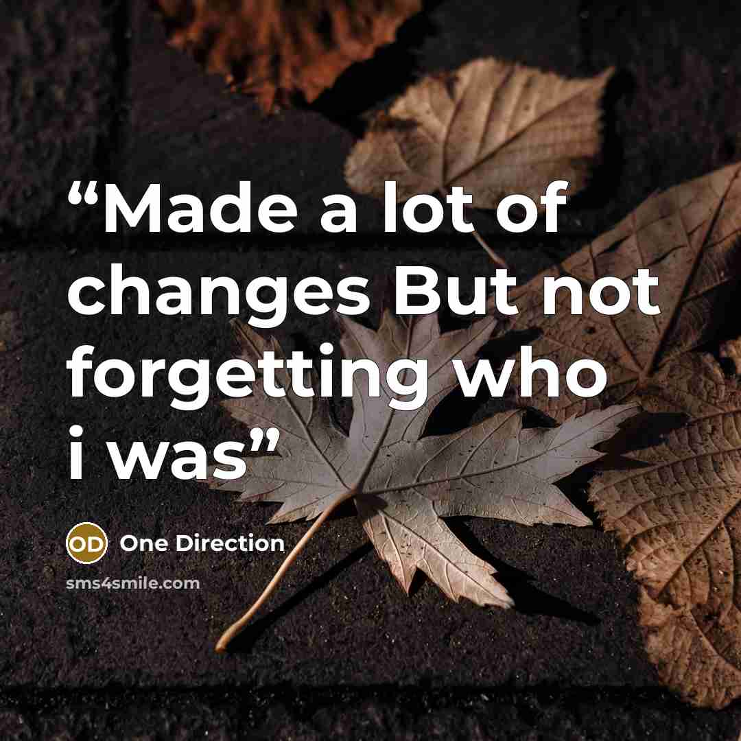 “Made a lot of changes But not forgetting who i was” quote by One Direction