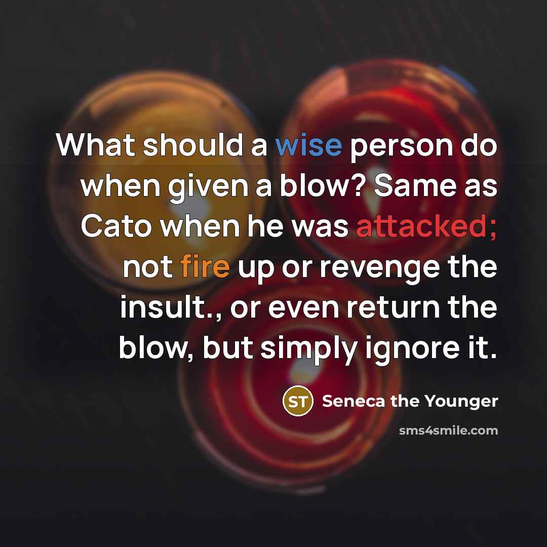 “What should a wise person do when given a blow? Same as Cato when he was attacked; not fire up or revenge the insult., or even return the blow, but simply ignore it.” quote by Seneca the Younger