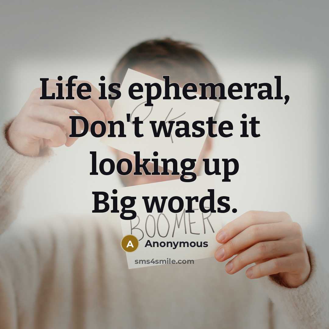 “Life is ephemeral, Don't waste it looking up Big words.” quote by Anonymous