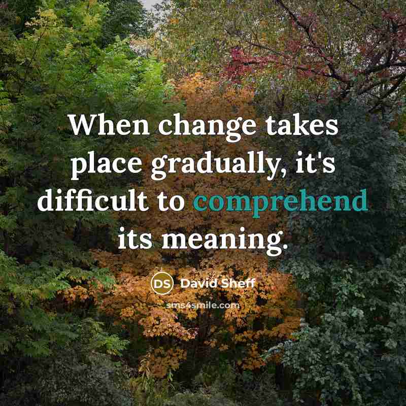 “When change takes place gradually, it's difficult to comprehend its meaning.” quote by David Sheff