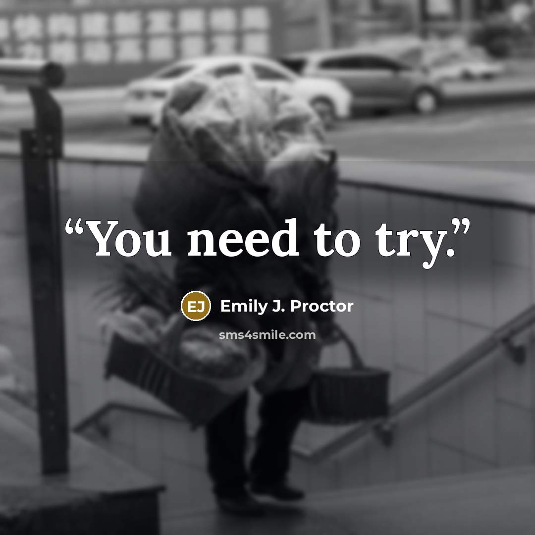 “You need to try.” quote by Emily J. Proctor