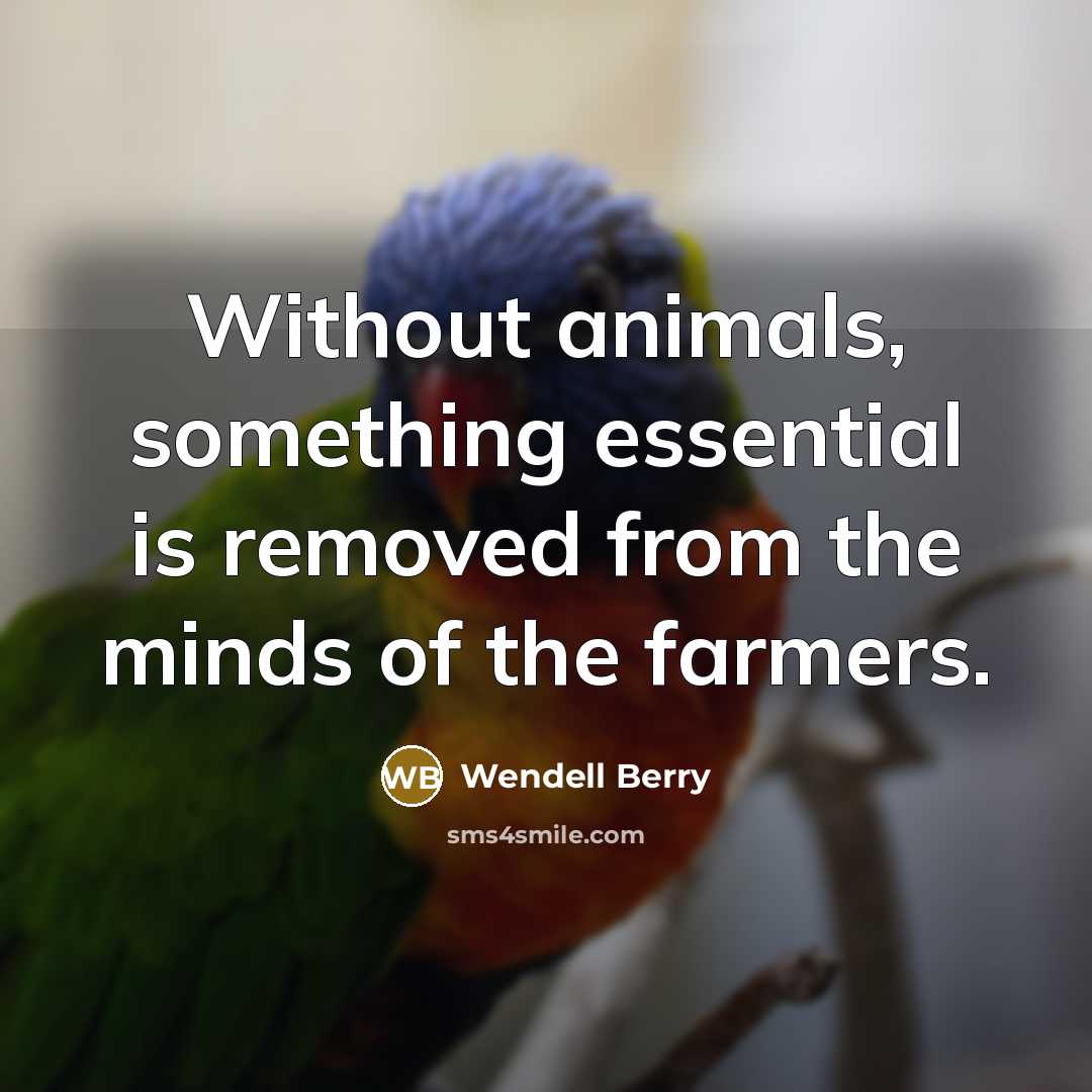 “Without animals, something essential is removed from the minds of the farmers.” quote by Wendell Berry