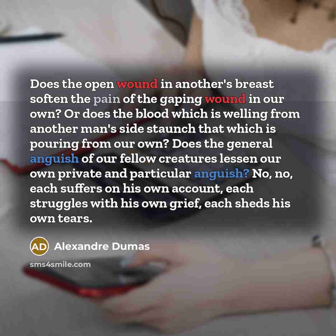 “Does the open wound in another's breast soften the pain of the gaping wound in our own? Or does the blood which is welling from another man's side staunch that which is pouring from our own? Does the general anguish of our fellow creatures lessen our own private and particular anguish? No, no…” quote by Alexandre Dumas