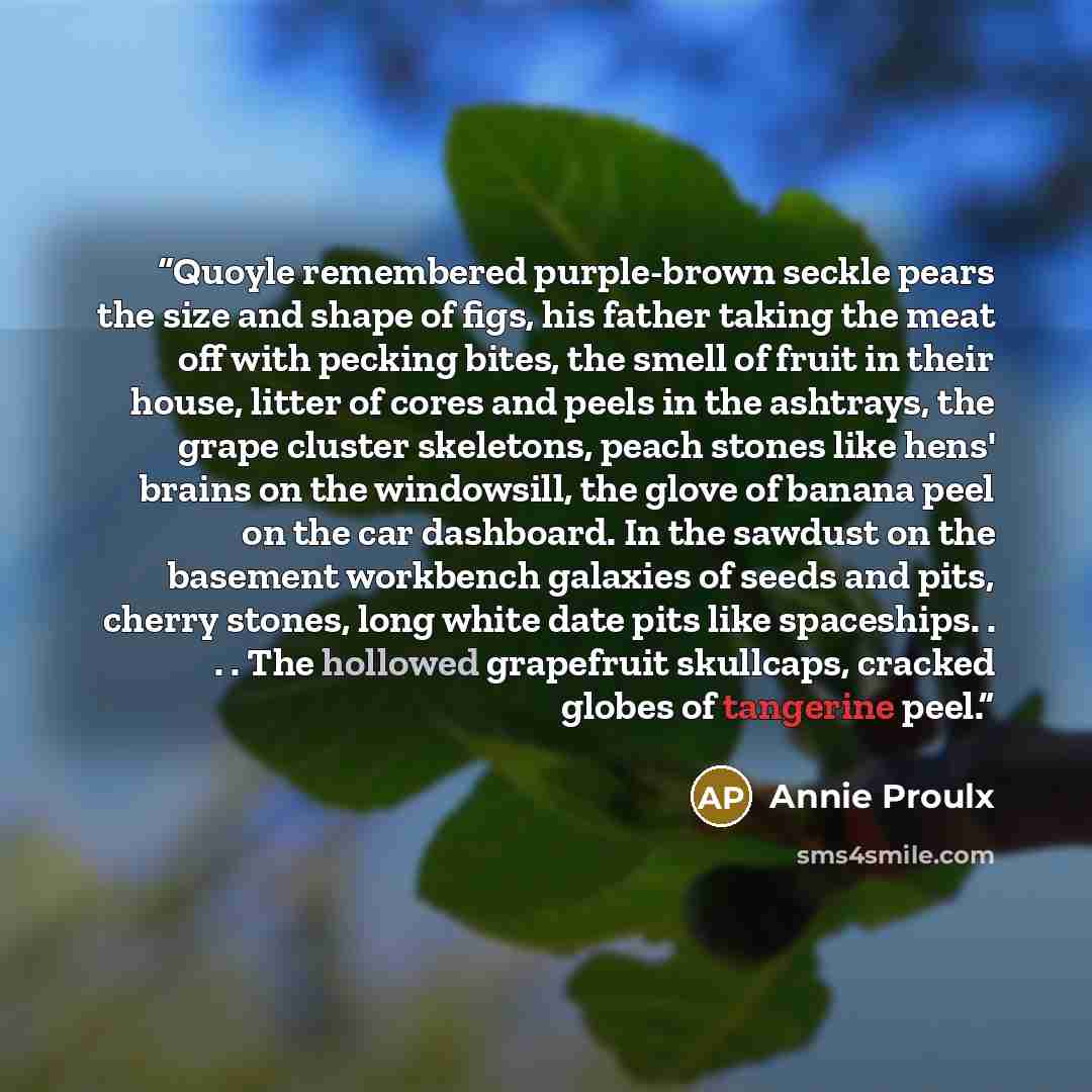 “Quoyle remembered purple-brown seckle pears the size and shape of figs, his father taking the meat off with pecking bites, the smell of fruit in their house, litter of cores and peels in the ashtrays, the grape cluster skeletons, peach stones like hens' brains on the windowsill, the glove of…” quote by Annie Proulx