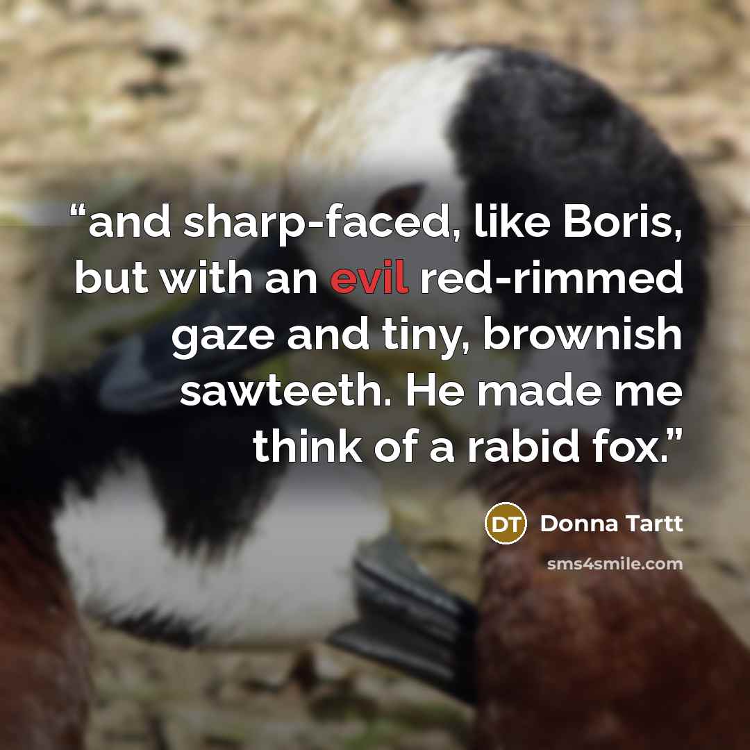 “and sharp-faced, like Boris, but with an evil red-rimmed gaze and tiny, brownish sawteeth. He made me think of a rabid fox.” quote by Donna Tartt