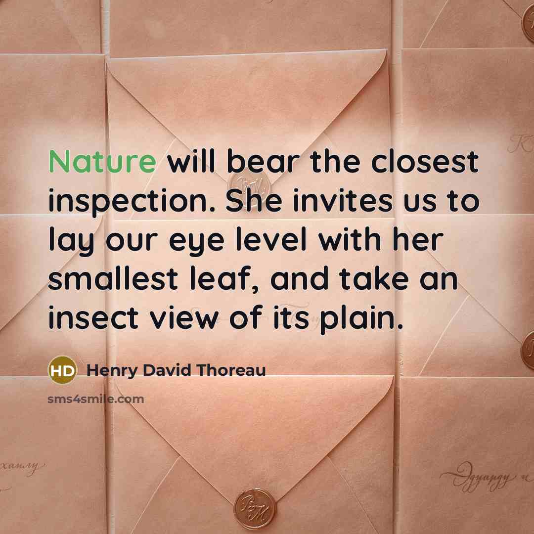 “Nature will bear the closest inspection. She invites us to lay our eye level with her smallest leaf, and take an insect view of its plain.” quote by Henry David Thoreau