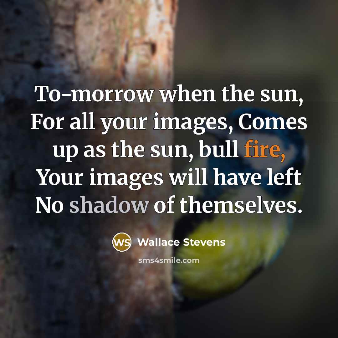 “To-morrow when the sun, For all your images, Comes up as the sun, bull fire, Your images will have left No shadow of themselves.” quote by Wallace Stevens