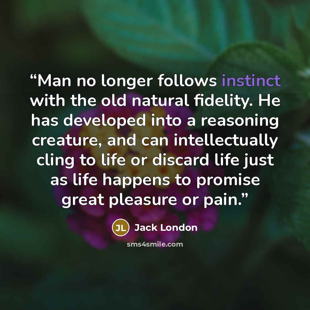 “Man no longer follows instinct with the old natural fidelity. He has developed into a reasoning creature, and can intellectually cling to life or discard life just as life happens to promise great pleasure or pain.” quote by Jack London