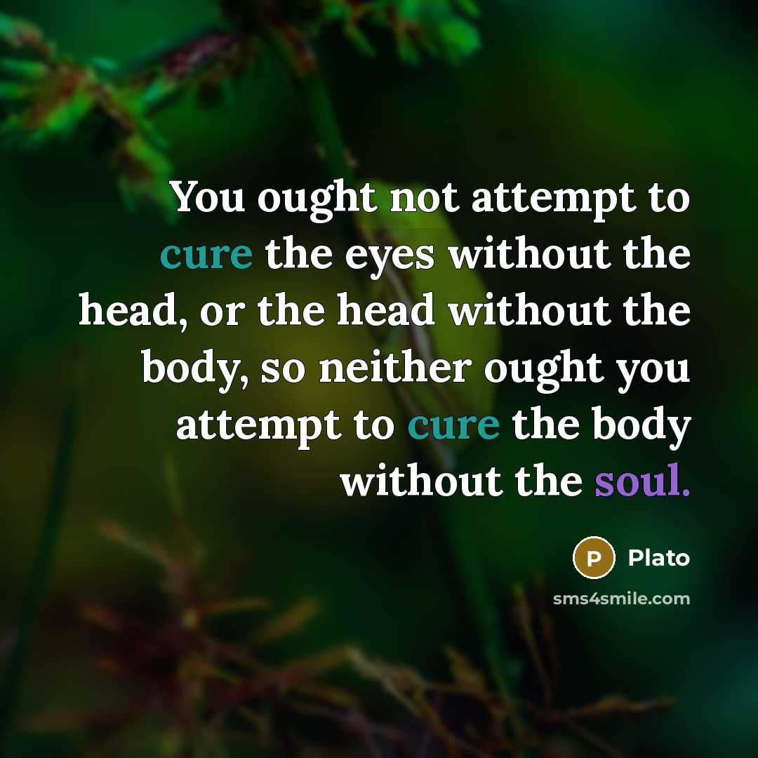“You ought not attempt to cure the eyes without the head, or the head without the body, so neither ought you attempt to cure the body without the soul.” quote by Plato