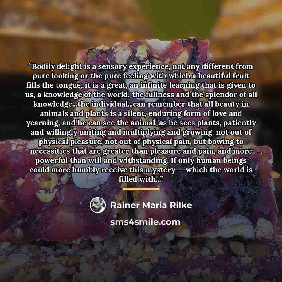 “Bodily delight is a sensory experience, not any different from pure looking or the pure feeling with which a beautiful fruit fills the tongue; it is a great, an infinite learning that is given to us, a knowledge of the world, the fullness and the splendor of all knowledge...the individual...can…” quote by Rainer Maria Rilke