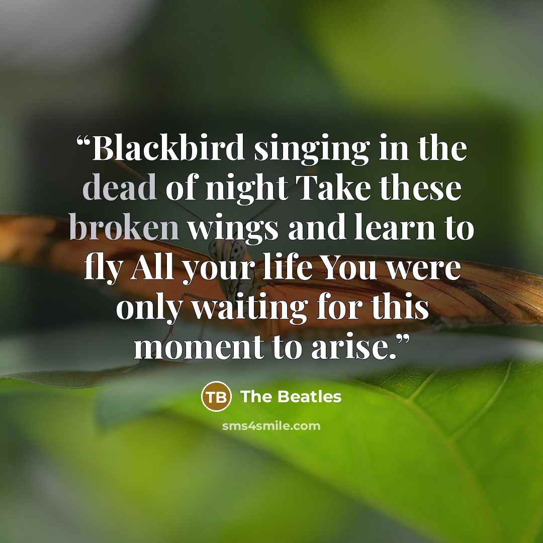 “Blackbird singing in the dead of night Take these broken wings and learn to fly All your life You were only waiting for this moment to arise.” quote by The Beatles